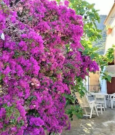 La Pergola Di Apartamento *